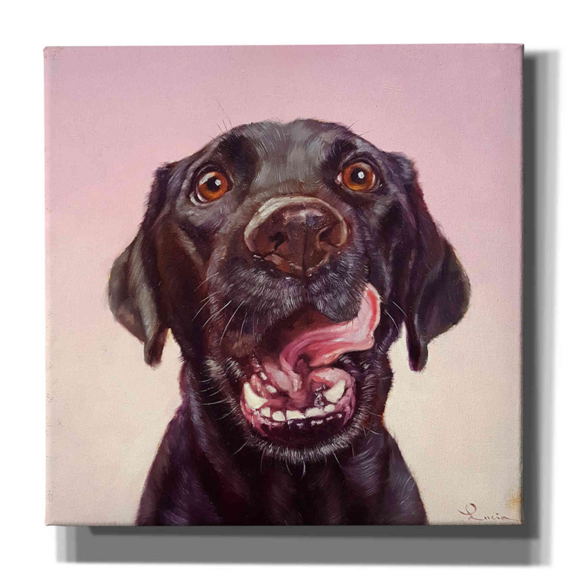 'Follow Your Nose 7' by Lucia Heffernan, Canvas Wall Art