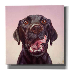 'Follow Your Nose 7' by Lucia Heffernan, Canvas Wall Art