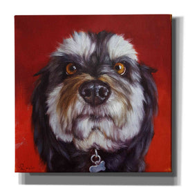 'Follow Your Nose 11' by Lucia Heffernan, Canvas Wall Art