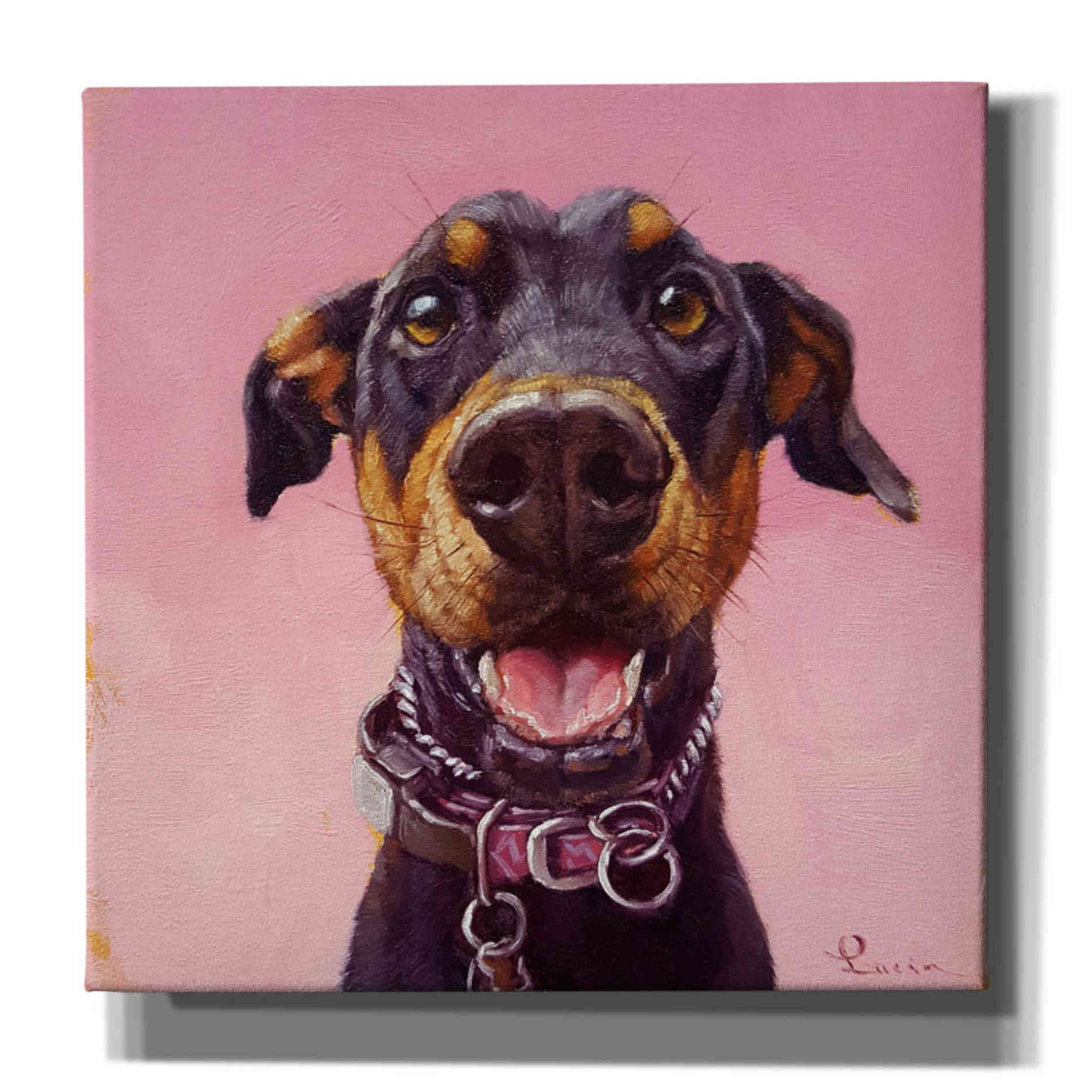 'Follow Your Nose 12' by Lucia Heffernan, Canvas Wall Art