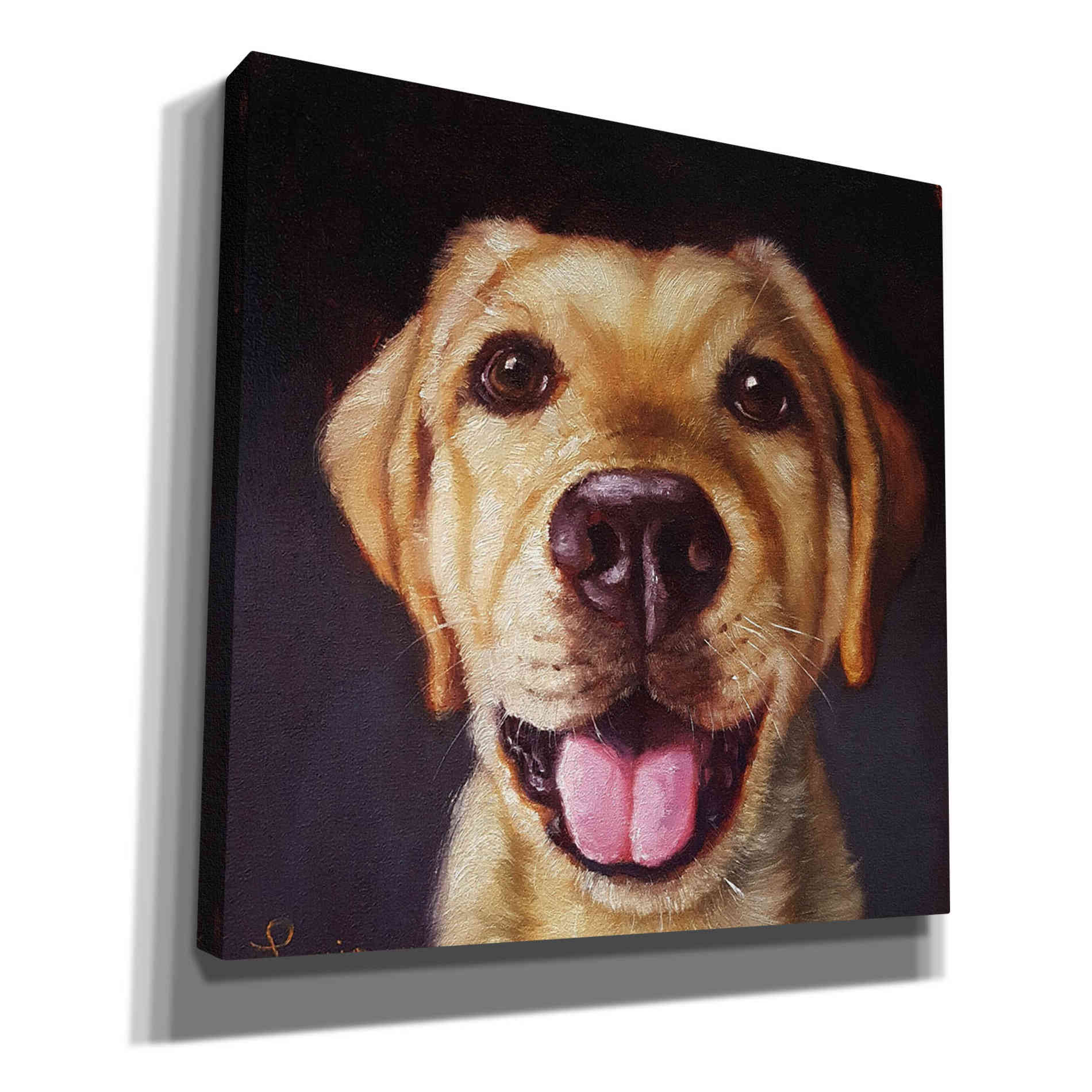 'Follow Your Nose 13' by Lucia Heffernan, Canvas Wall Art