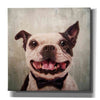 'A Black Tie Affair' by Lucia Heffernan, Canvas Wall Art