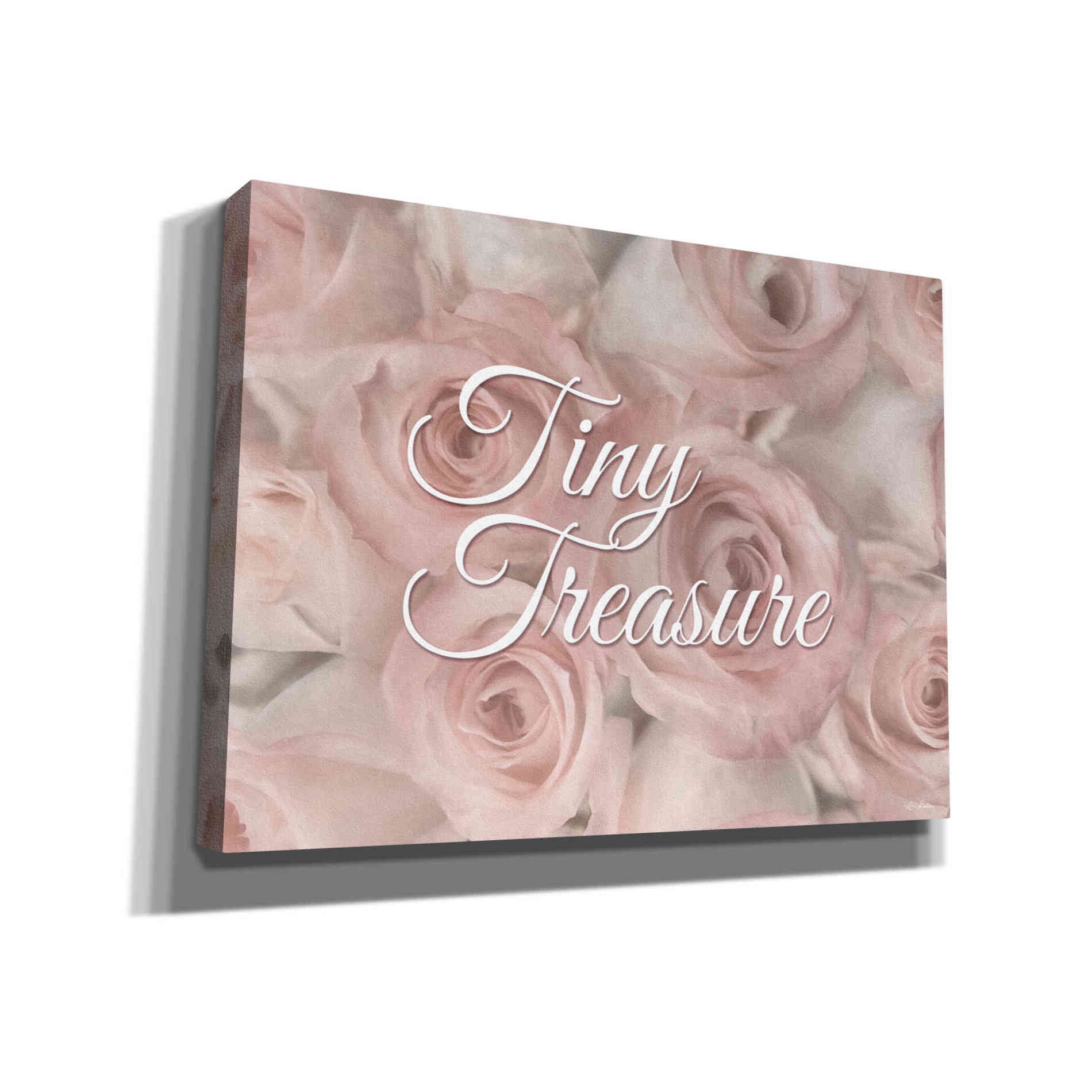 'Tiny Treasure' by Lori Deiter, Canvas Wall Art