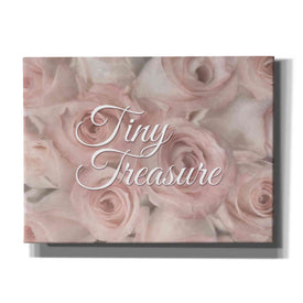 'Tiny Treasure' by Lori Deiter, Canvas Wall Art