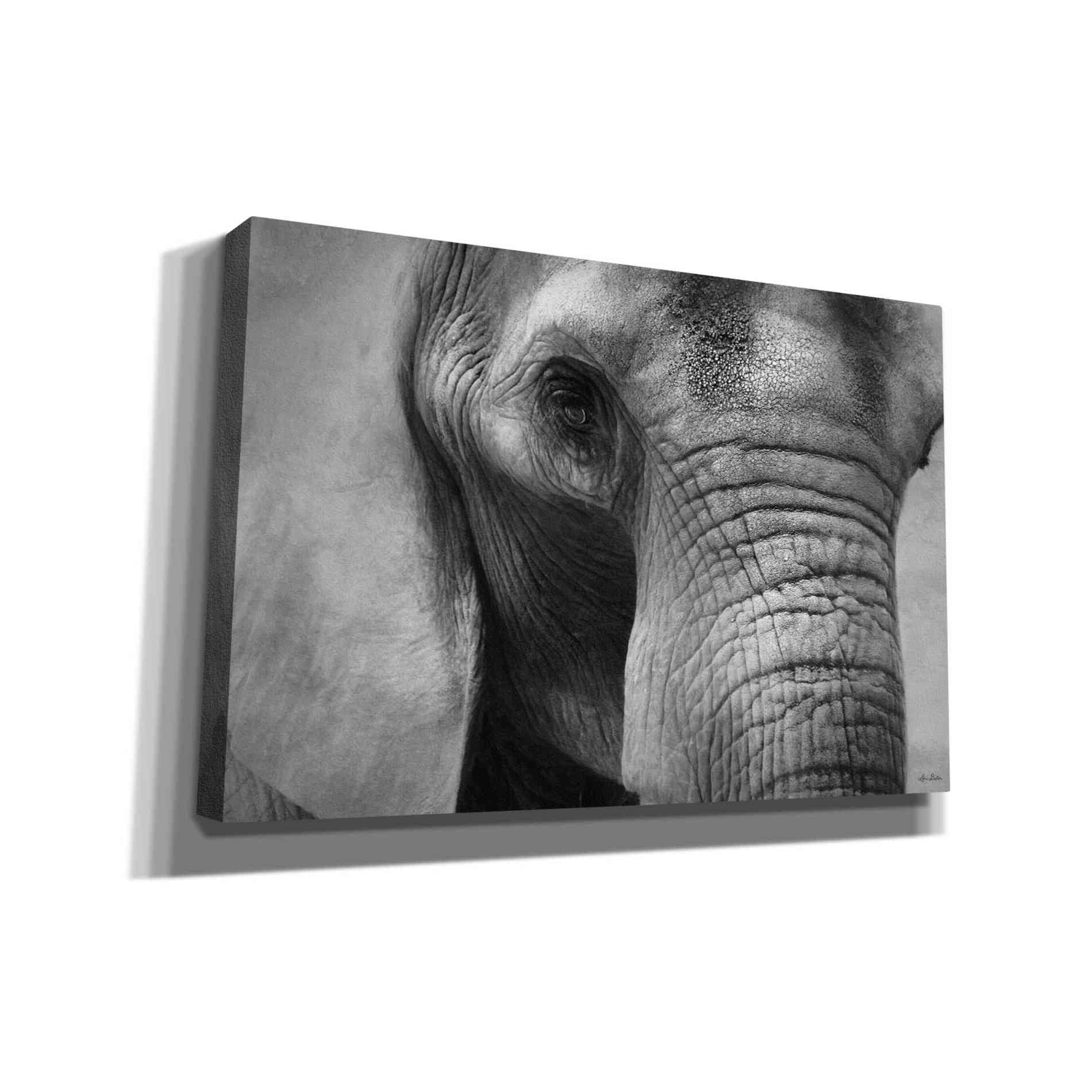 'Elephant' by Lori Deiter, Canvas Wall Art