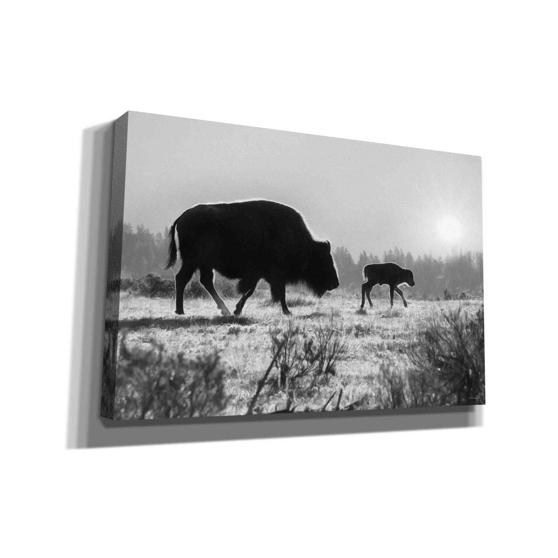 'Lamar Valley Migration' by Lori Deiter, Canvas Wall Art