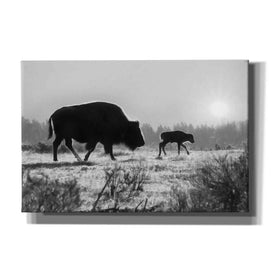 'Lamar Valley Migration' by Lori Deiter, Canvas Wall Art