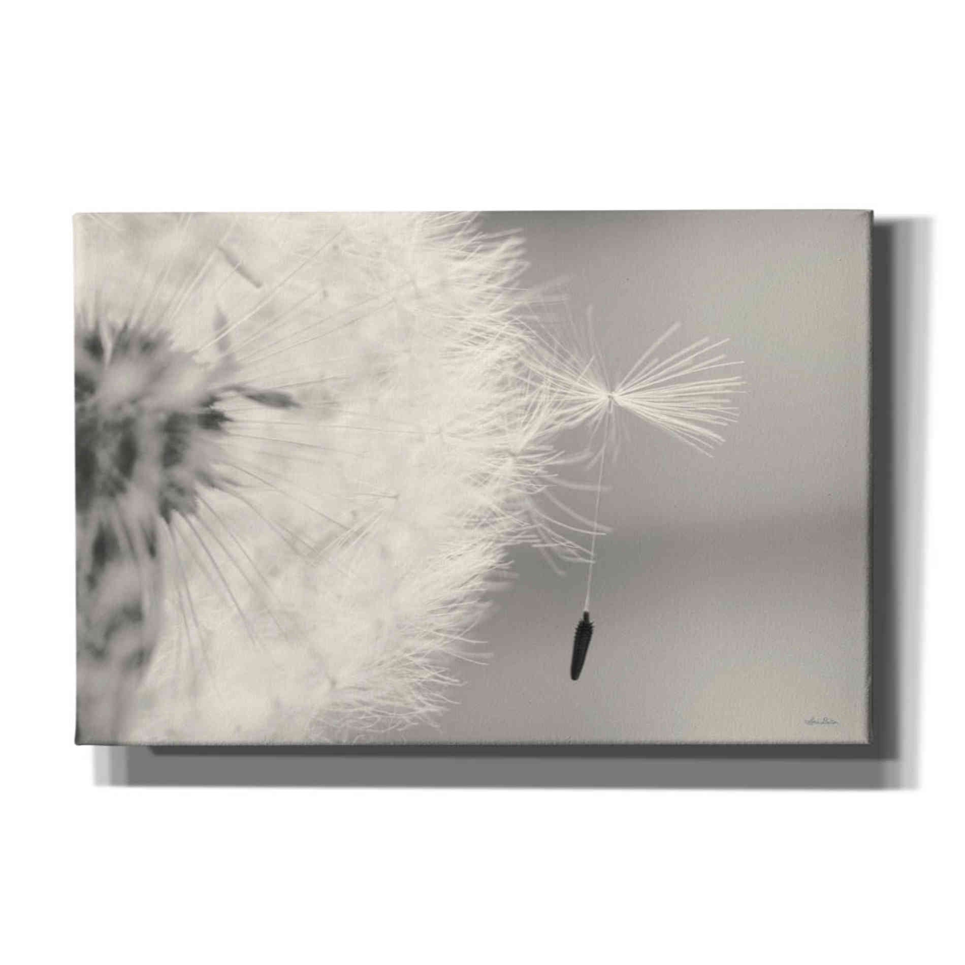 'It Only Takes One' by Lori Deiter, Canvas Wall Art