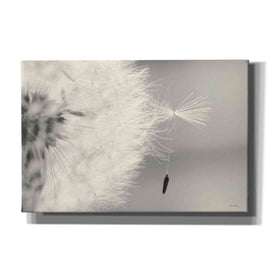 'It Only Takes One' by Lori Deiter, Canvas Wall Art