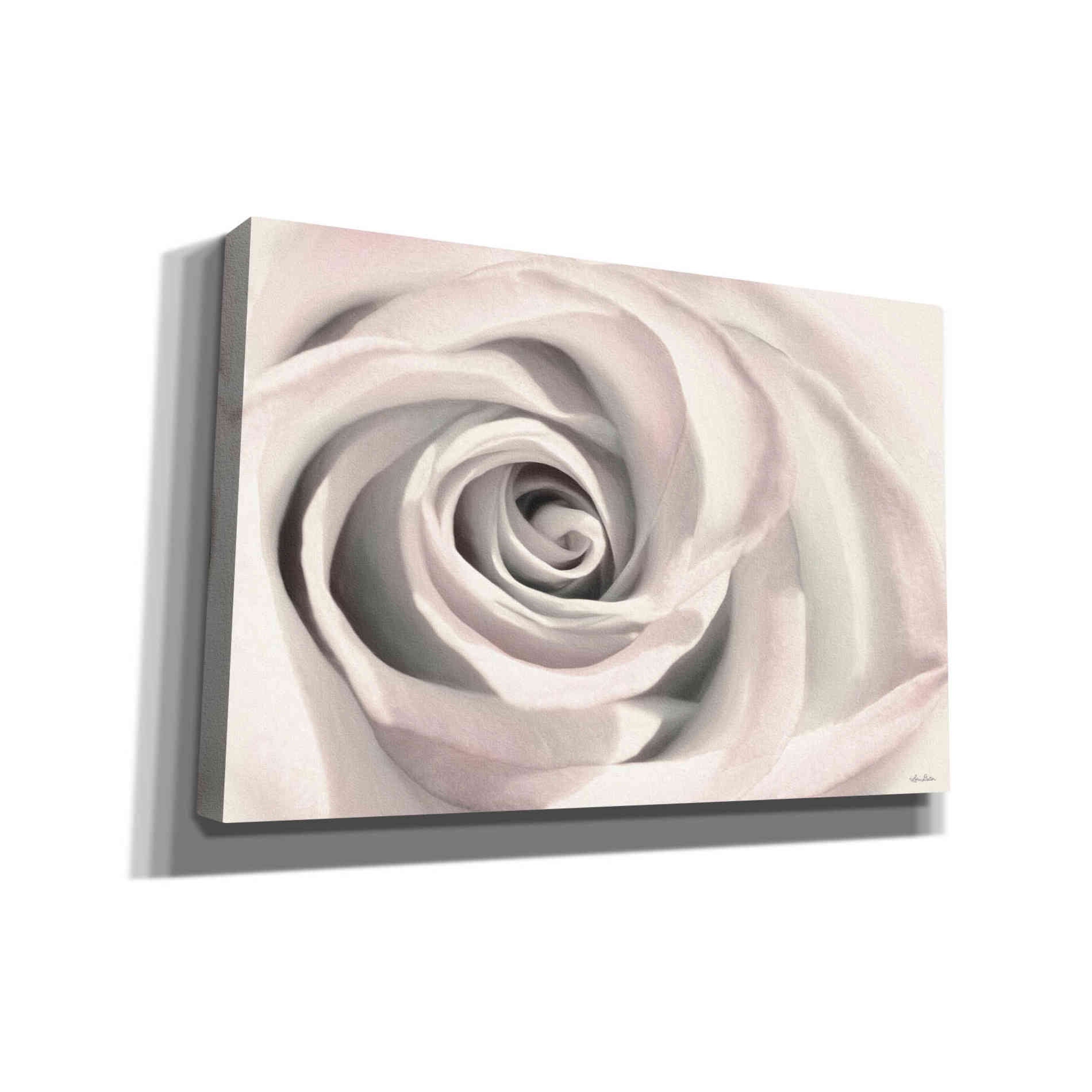 'Blush Rose III' by Lori Deiter, Canvas Wall Art