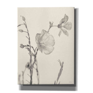 'Faded Flower II' by Lori Deiter, Canvas Wall Art