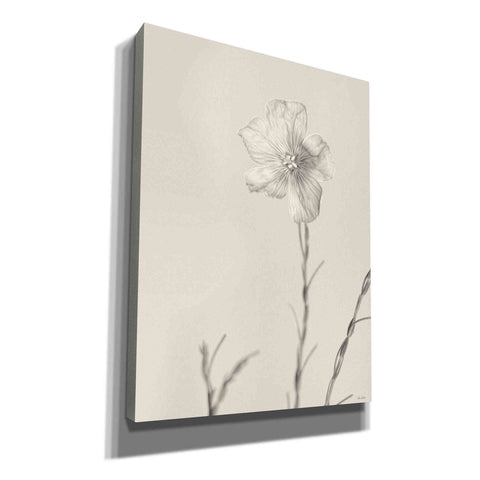 Image of 'Faded Flower III' by Lori Deiter, Canvas Wall Art