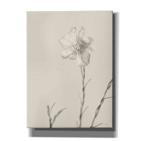 'Faded Flower III' by Lori Deiter, Canvas Wall Art