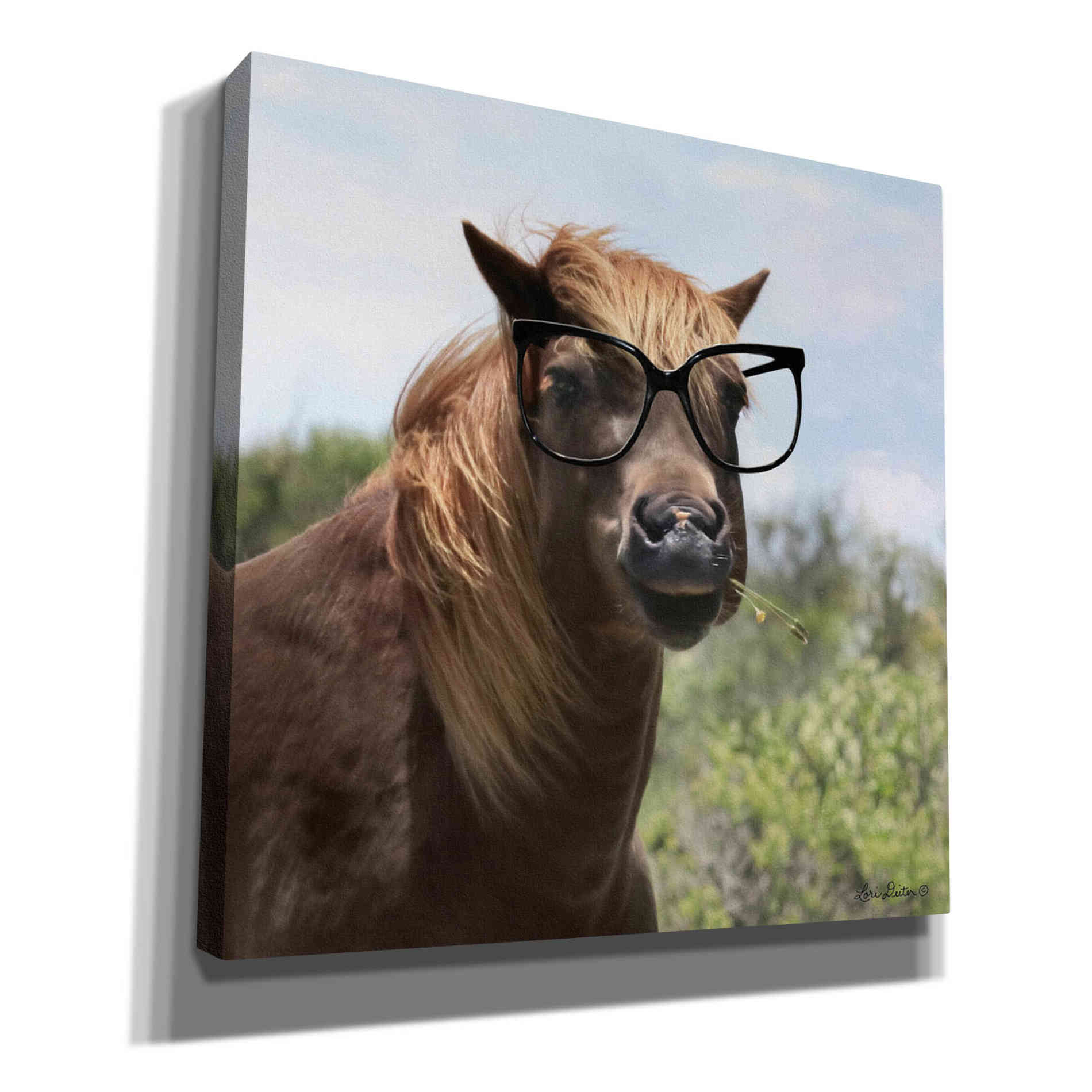 'Let Your Horse Do the Thinking' by Lori Deiter, Canvas Wall Art