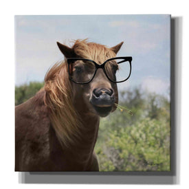 'Let Your Horse Do the Thinking' by Lori Deiter, Canvas Wall Art