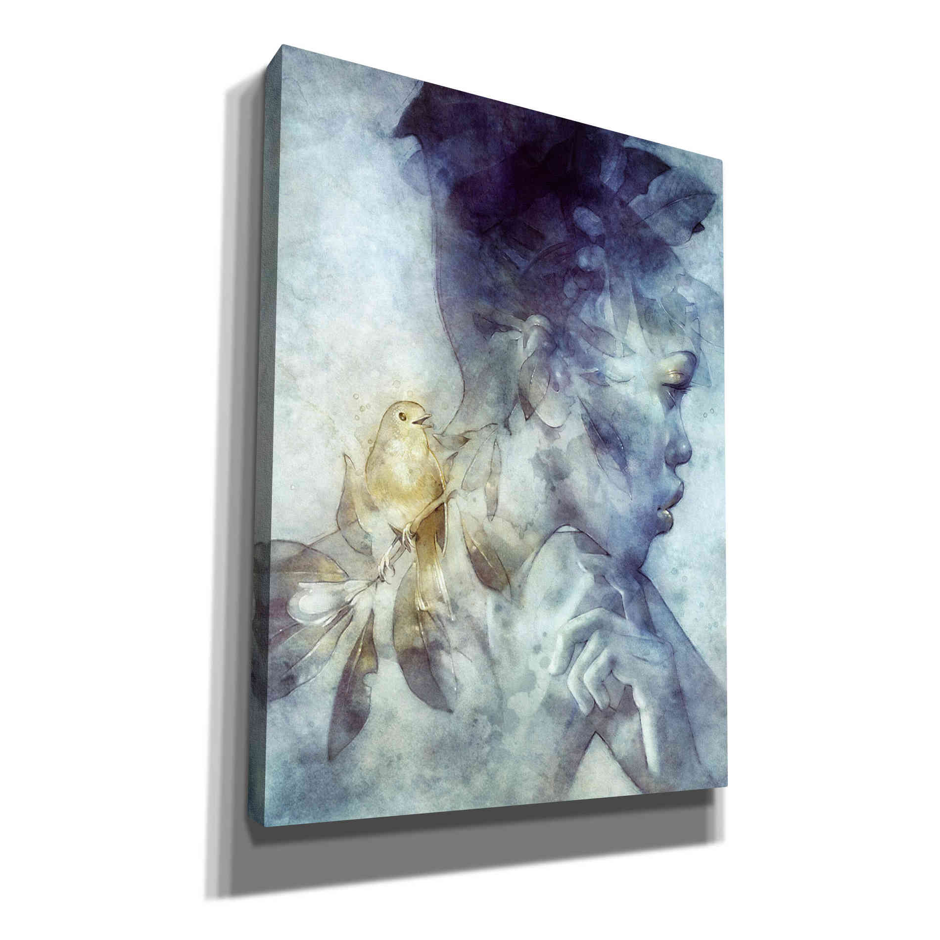 'Midas' by Anna Dittman, Canvas Wall Art
