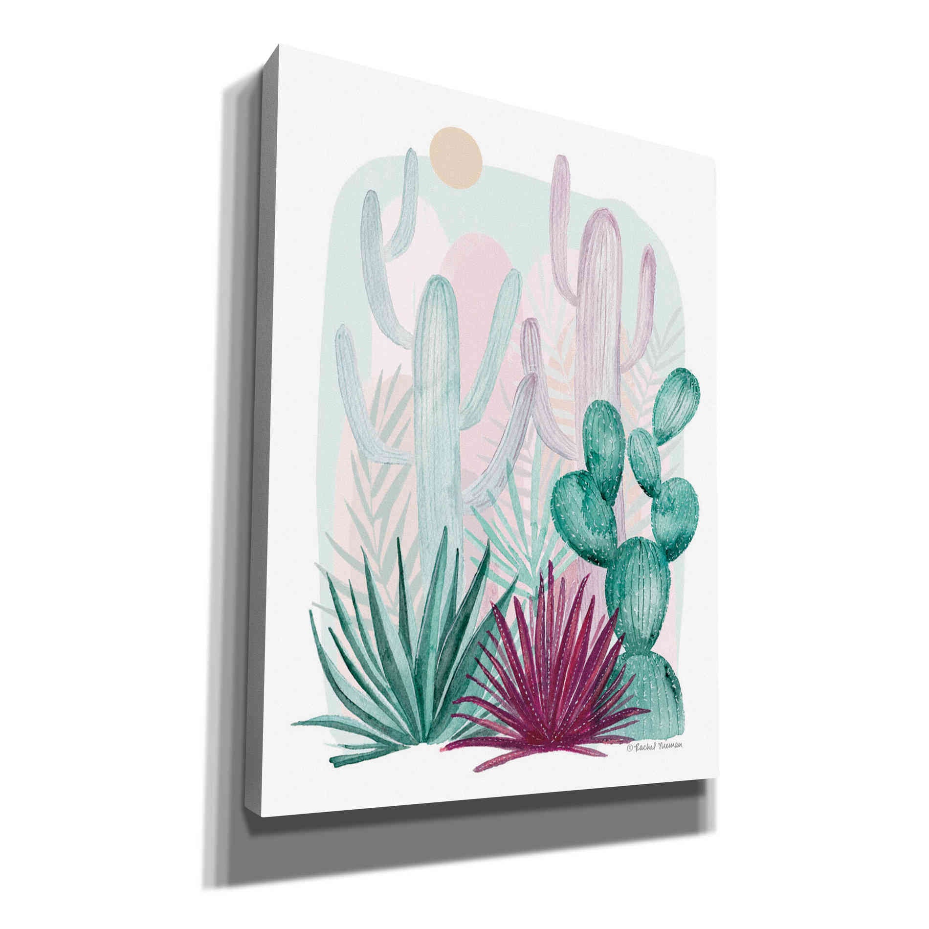 'Cactus Summer' by Rachel Nieman, Canvas Wall Art
