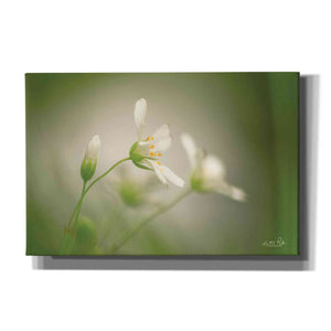'Stellaria' by Martin Podt, Canvas Wall Art