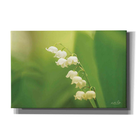 Image of 'Lily of the Valley' by Martin Podt, Canvas Wall Art