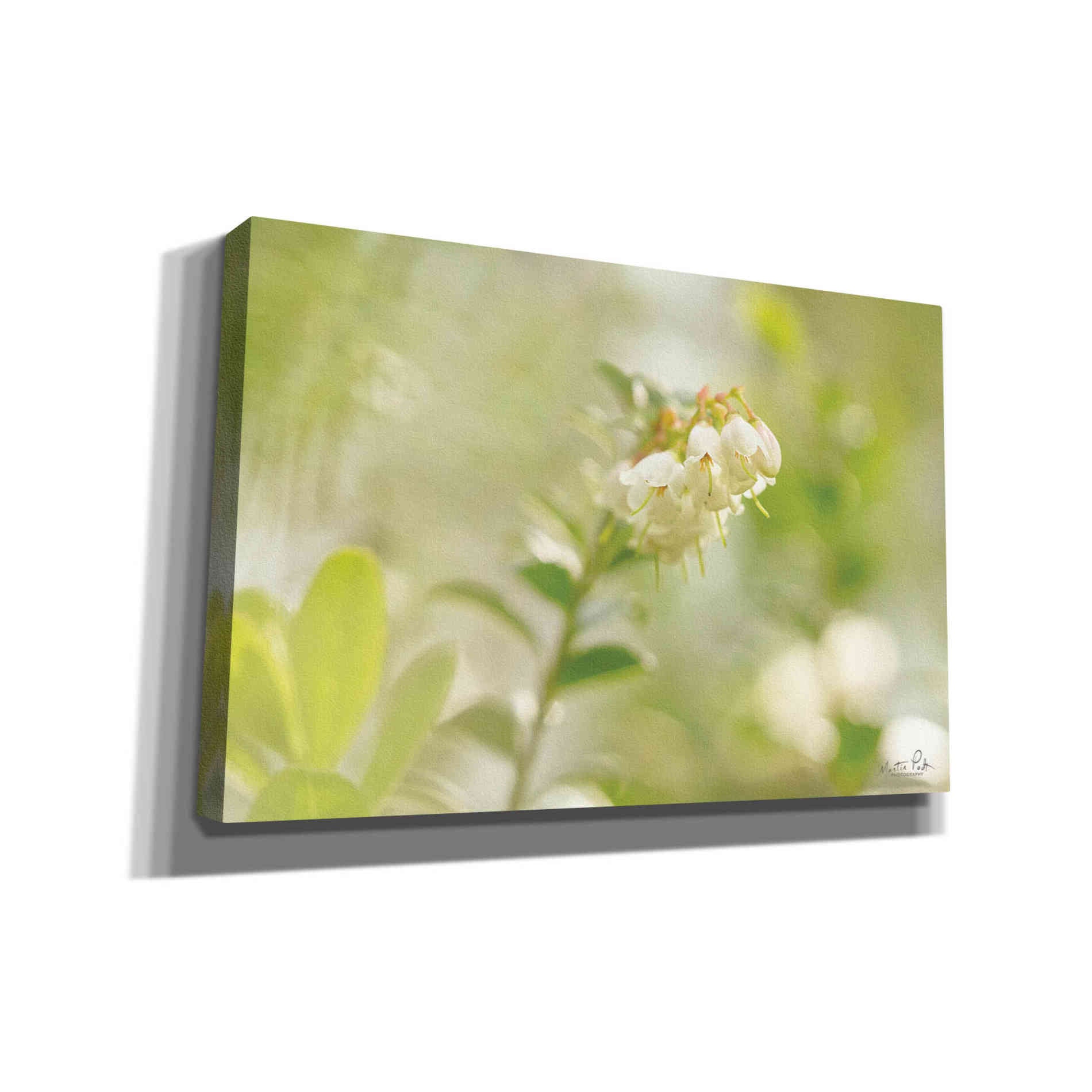 'Lingonberry' by Martin Podt, Canvas Wall Art