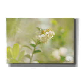 'Lingonberry' by Martin Podt, Canvas Wall Art