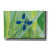 'Damselfly in Blue' by Martin Podt, Canvas Wall Art