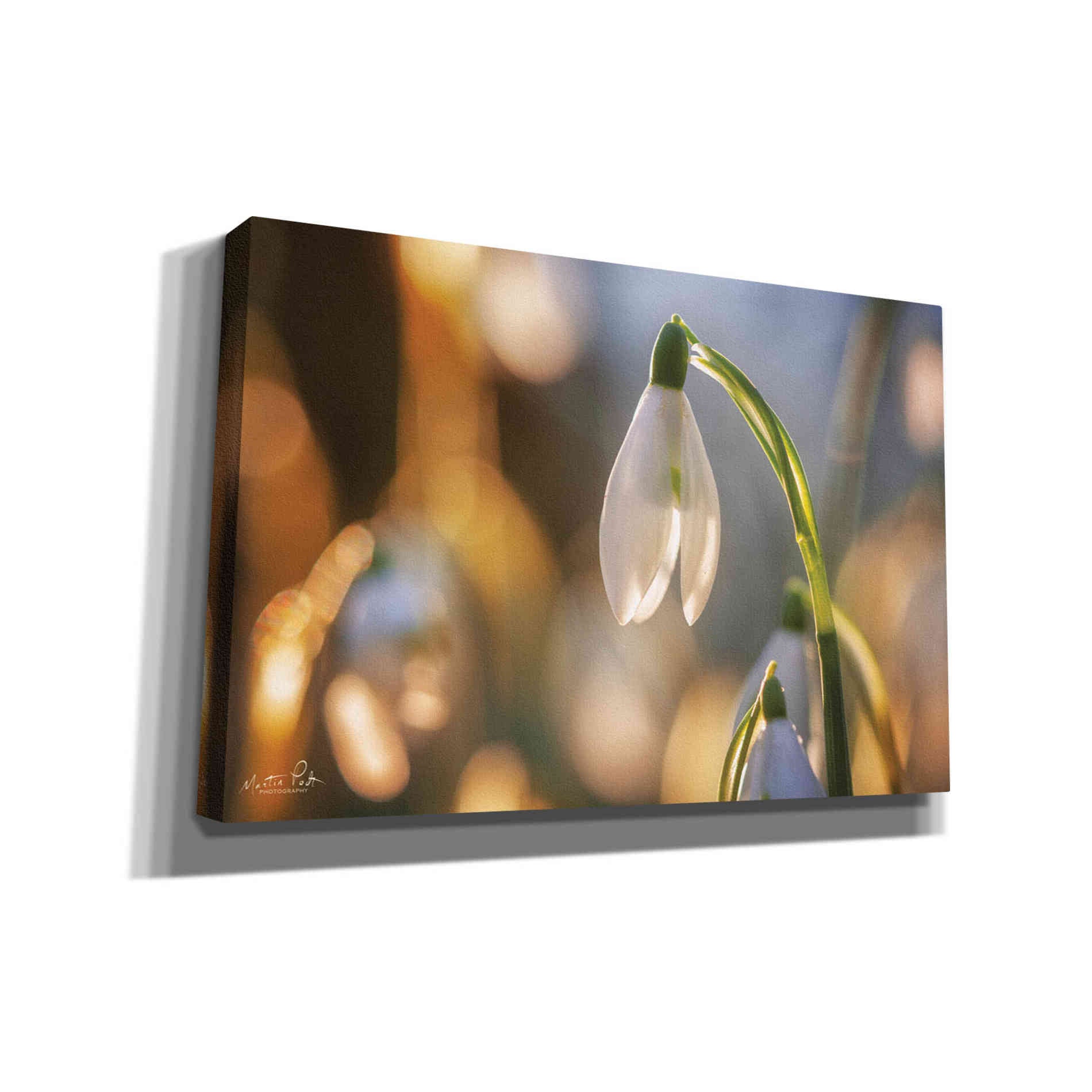 'Shining Beauty' by Martin Podt, Canvas Wall Art