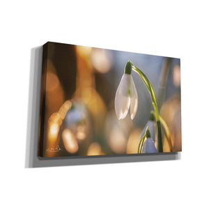 'Shining Beauty' by Martin Podt, Canvas Wall Art