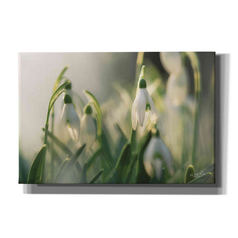Image of 'Snowdrops' by Martin Podt, Canvas Wall Art