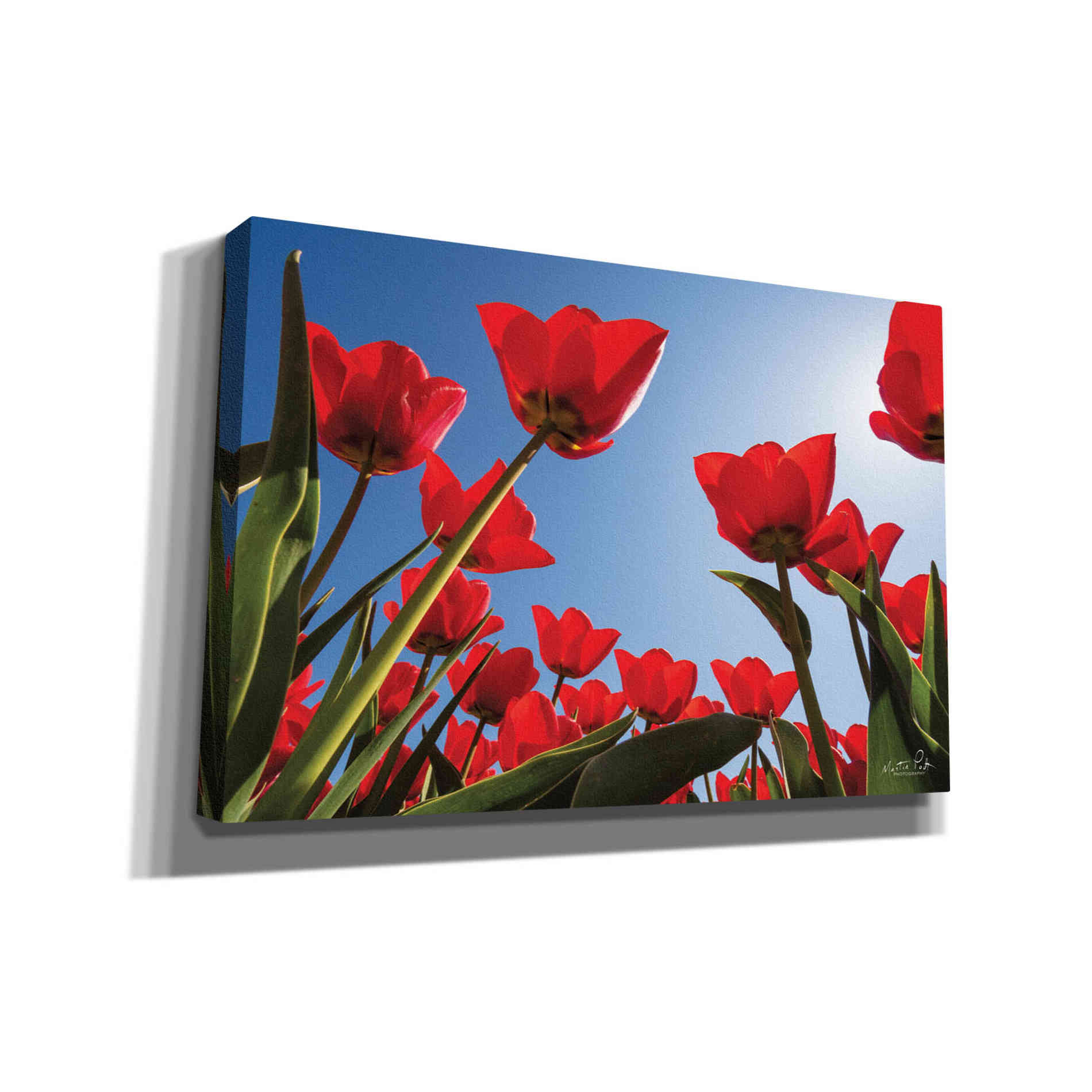 'Look Up in Red' by Martin Podt, Canvas Wall Art