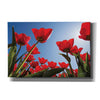 'Look Up in Red' by Martin Podt, Canvas Wall Art
