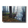 'Creepy Outside World' by Martin Podt, Canvas Wall Art