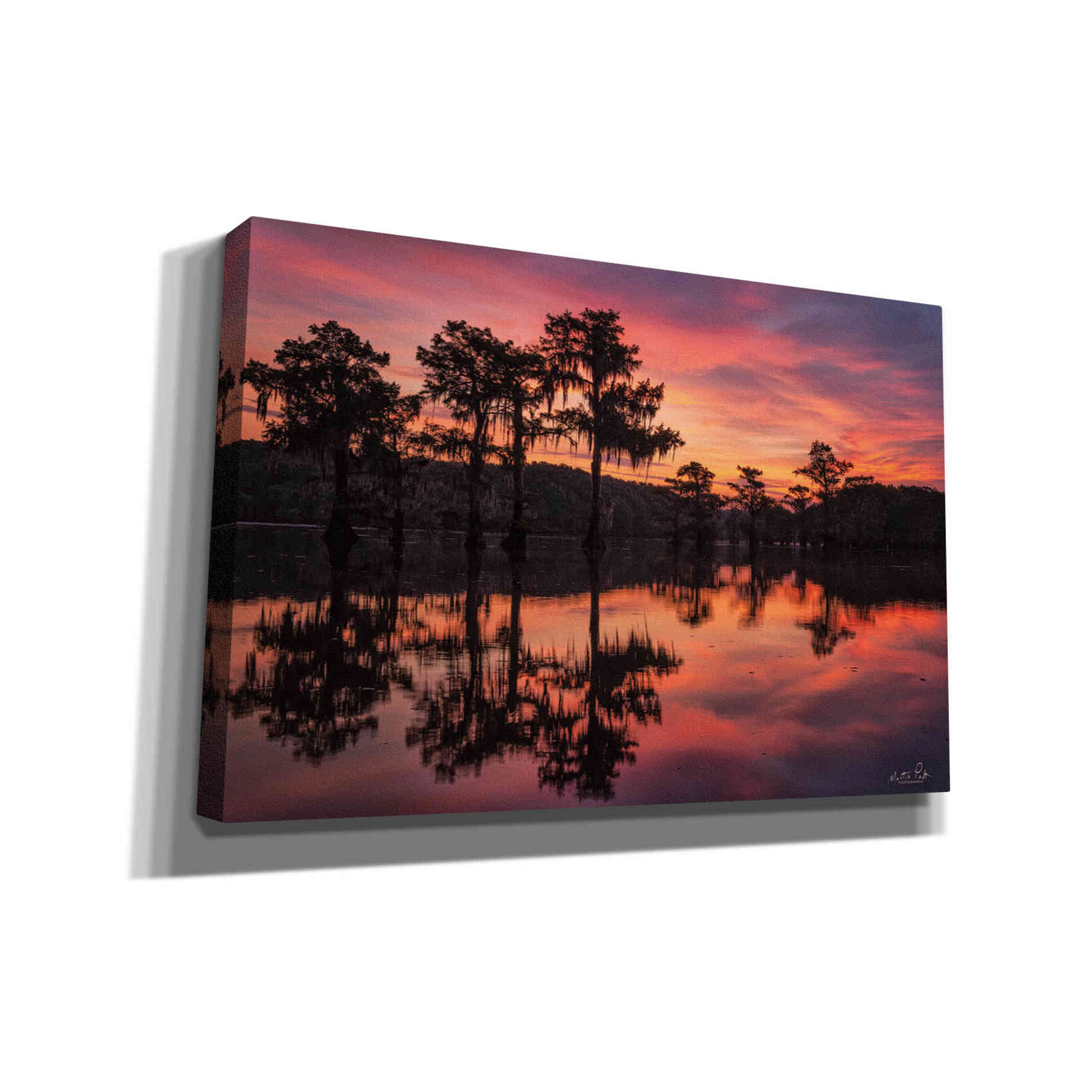 'Swamp on Fire' by Martin Podt, Canvas Wall Art