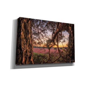 'In Between' by Martin Podt, Canvas Wall Art