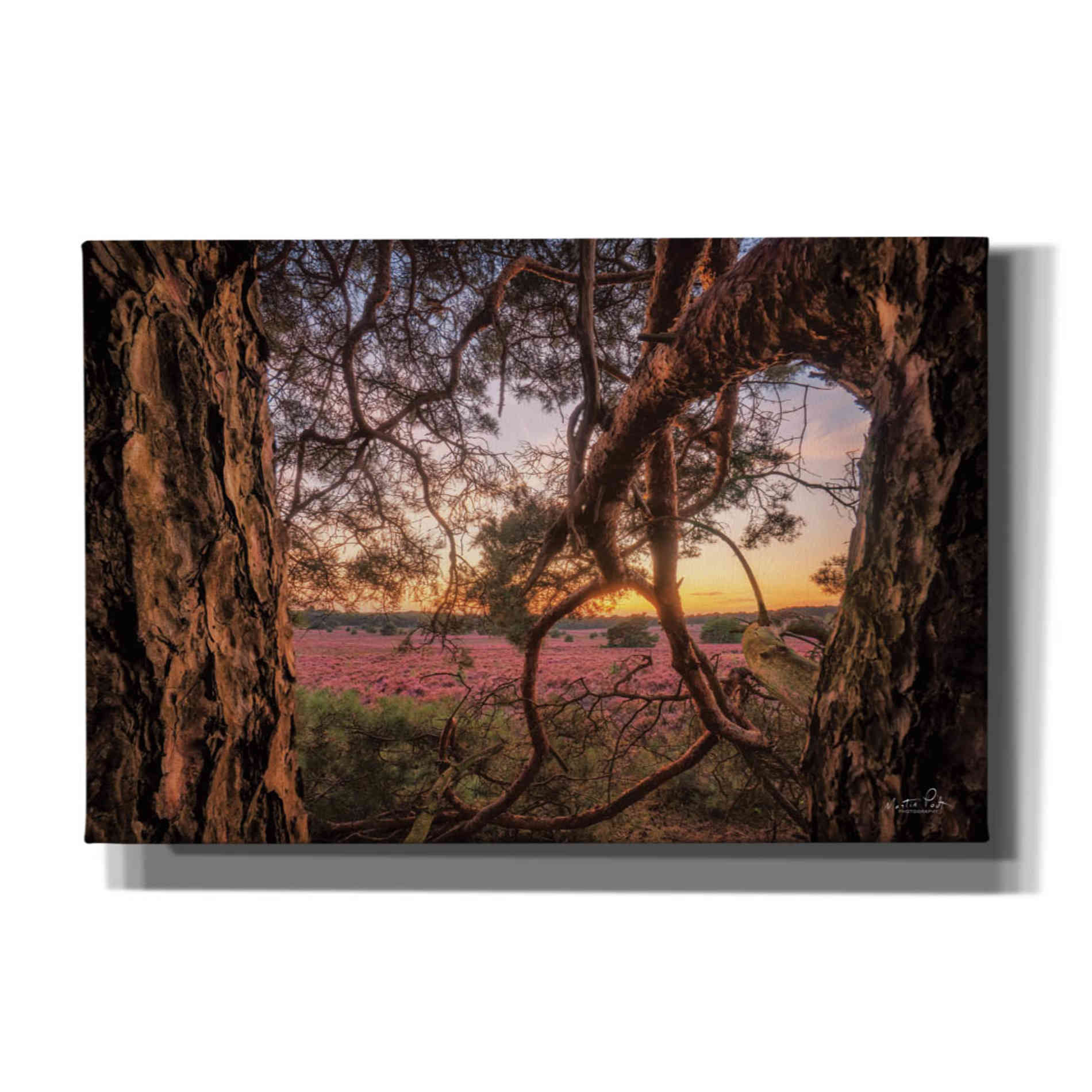 'In Between' by Martin Podt, Canvas Wall Art