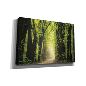 'Among Giants in Springtime' by Martin Podt, Canvas Wall Art
