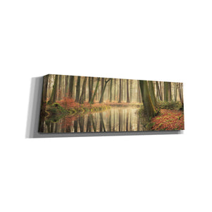 'The Healing Power of Forests' by Martin Podt, Canvas Wall Art