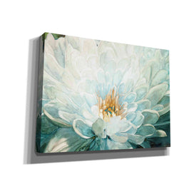 'Morning Blossom' by Stellar Design Studio, Canvas Wall Art