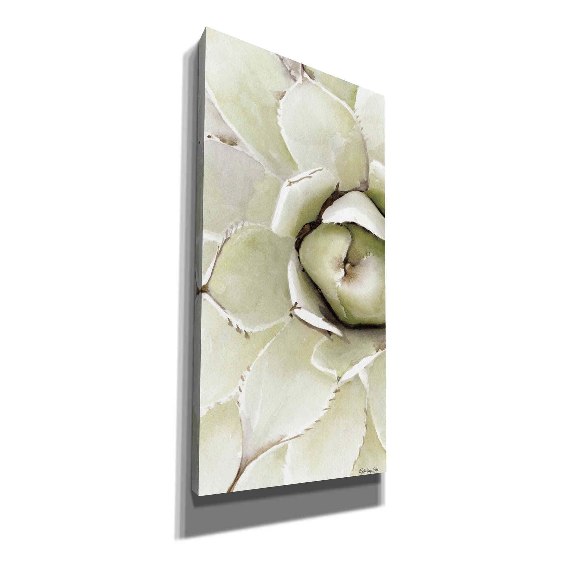 'Agave Panel 2' by Stellar Design Studio, Canvas Wall Art