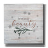 'Winter Beauty II' by Bluebird Barn, Canvas Wall Art