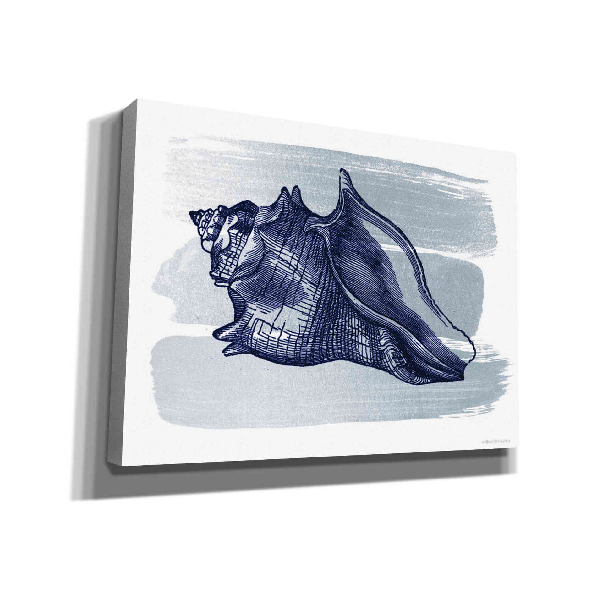 'Brushed Midnight Blue Seashell' by Bluebird Barn, Canvas Wall Art