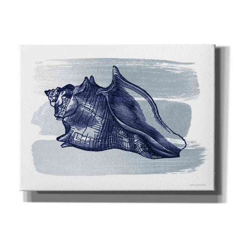 Image of 'Brushed Midnight Blue Seashell' by Bluebird Barn, Canvas Wall Art