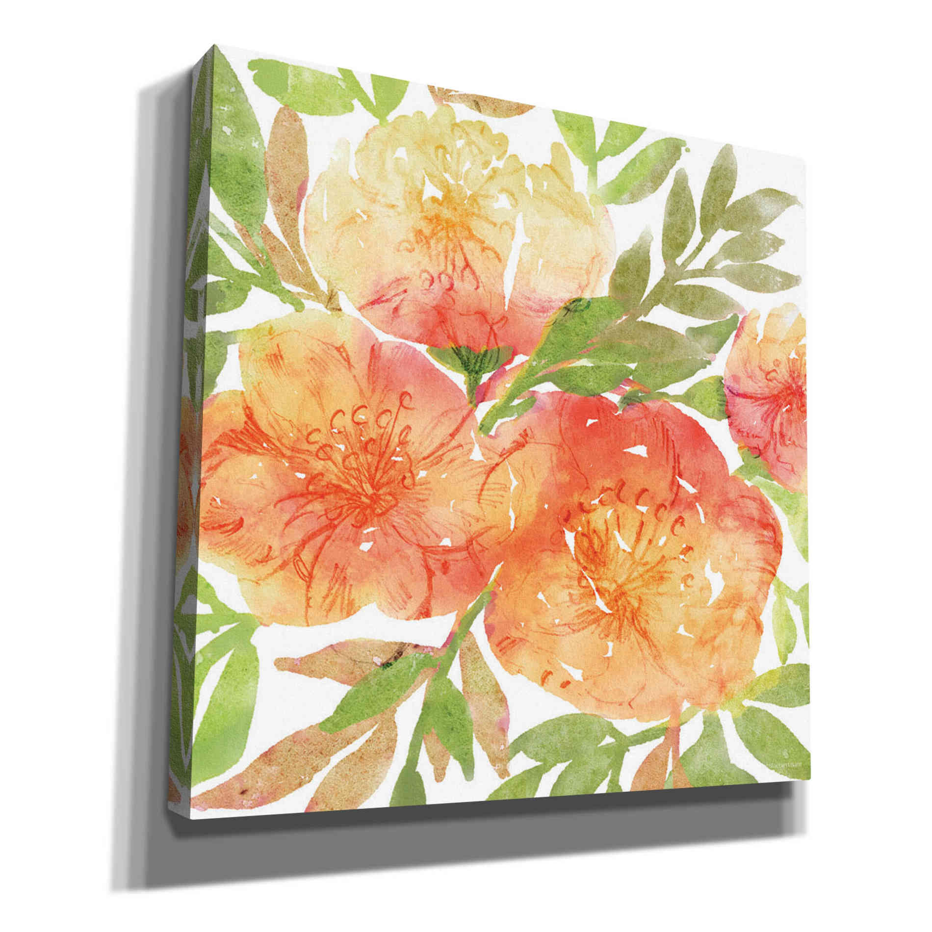 'Peachy Floral III' by Bluebird Barn, Canvas Wall Art
