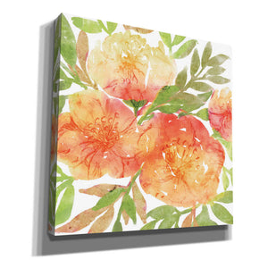 'Peachy Floral III' by Bluebird Barn, Canvas Wall Art