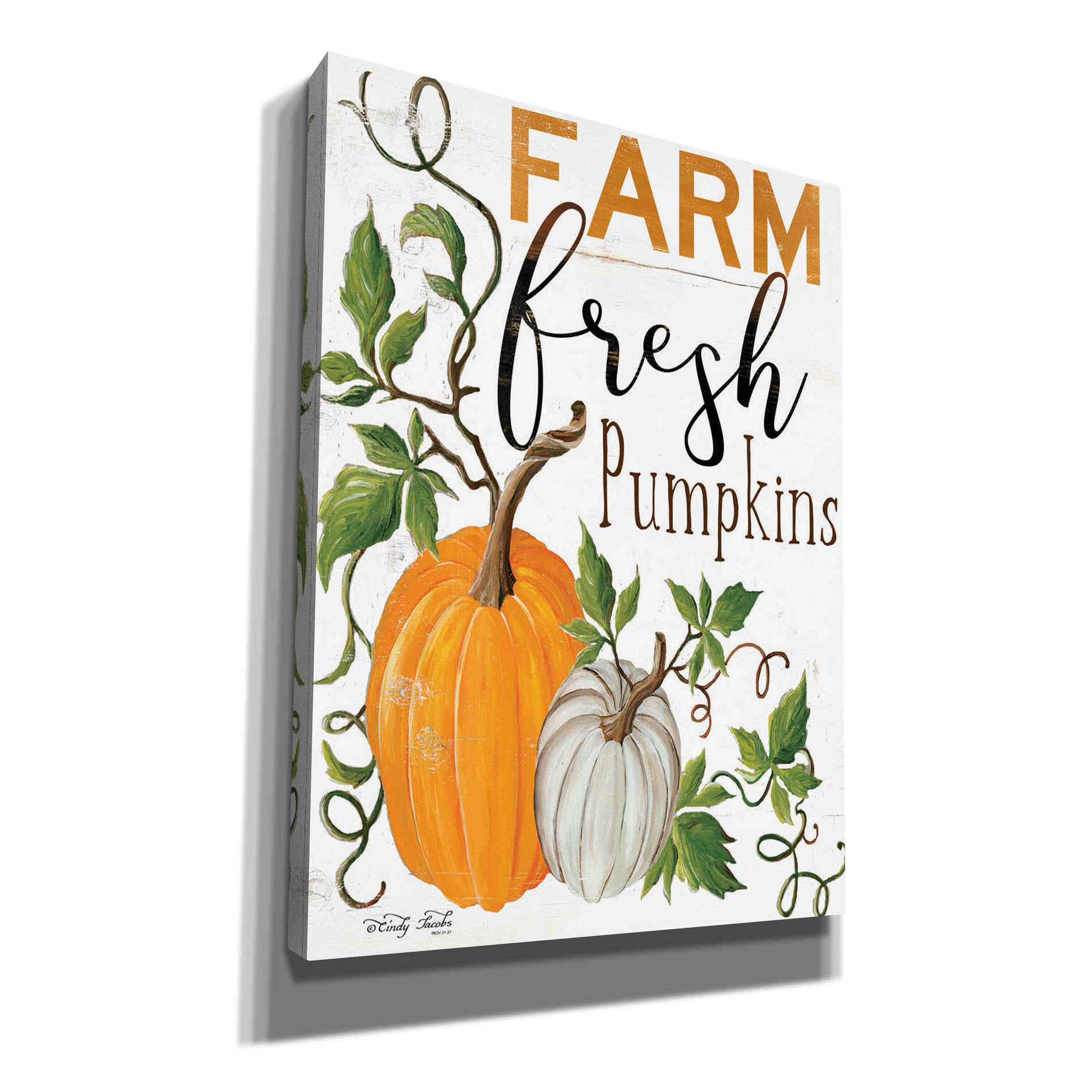 'Farm Fresh Pumpkins' by Cindy Jacobs, Canvas Wall Art
