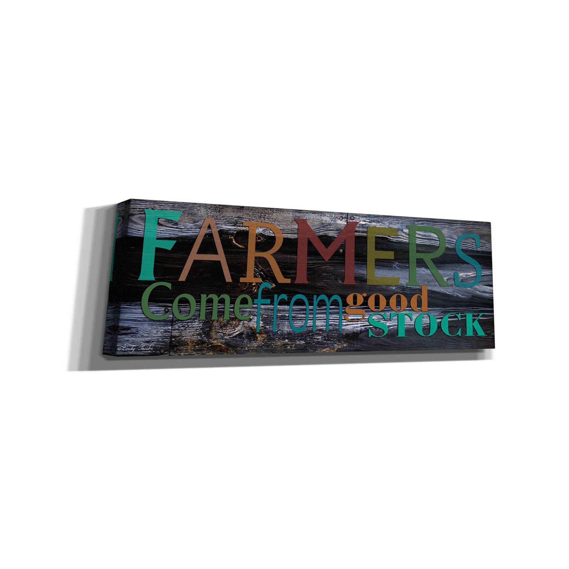 'Farmer's Come from Good Stock' by Cindy Jacobs, Canvas Wall Art