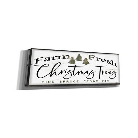 Image of 'Farm Fresh Christmas Trees III' by Cindy Jacobs, Canvas Wall Art