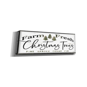 'Farm Fresh Christmas Trees III' by Cindy Jacobs, Canvas Wall Art
