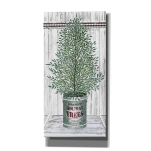 'Galvanized Pot Cedar' by Cindy Jacobs, Canvas Wall Art