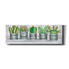 'Galvanized Pot Succulents I' by Cindy Jacobs, Canvas Wall Art